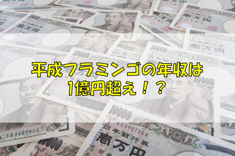 平成フラミンゴの年収は8,000万円超え！？