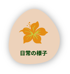 日常の様子