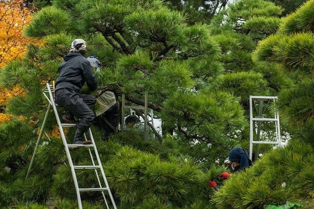 企業イメージ