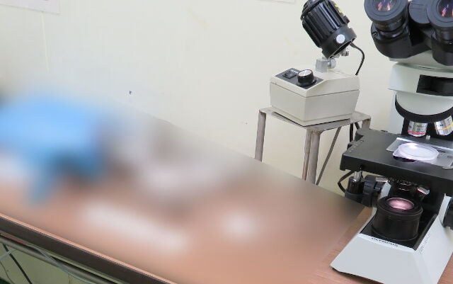 企業イメージ