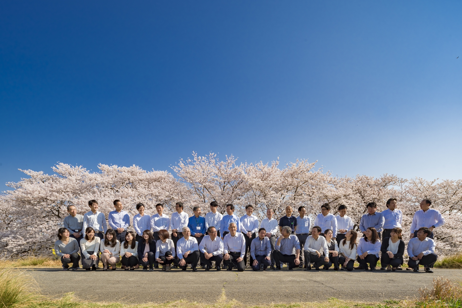 企業イメージ