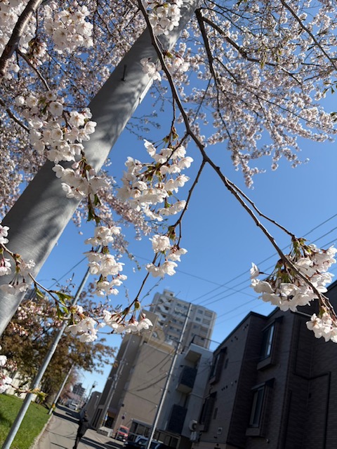 この季節、動き出す人が増えています。