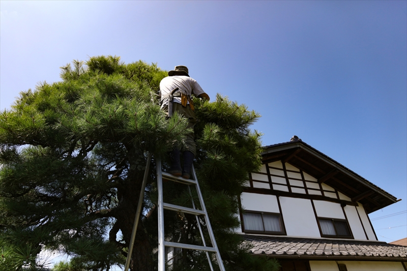 企業イメージ