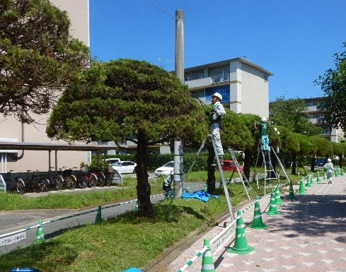 企業イメージ