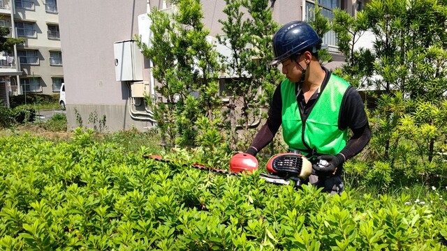 企業イメージ