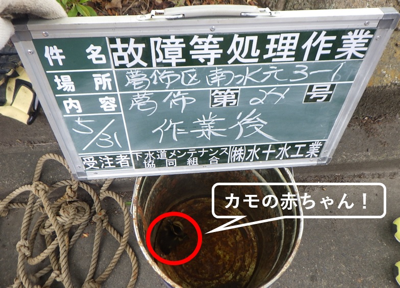 企業イメージ