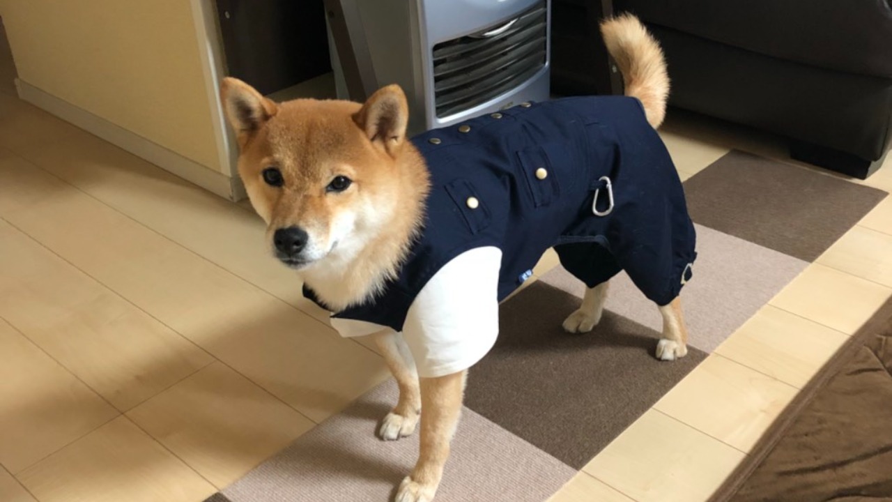 企業イメージ