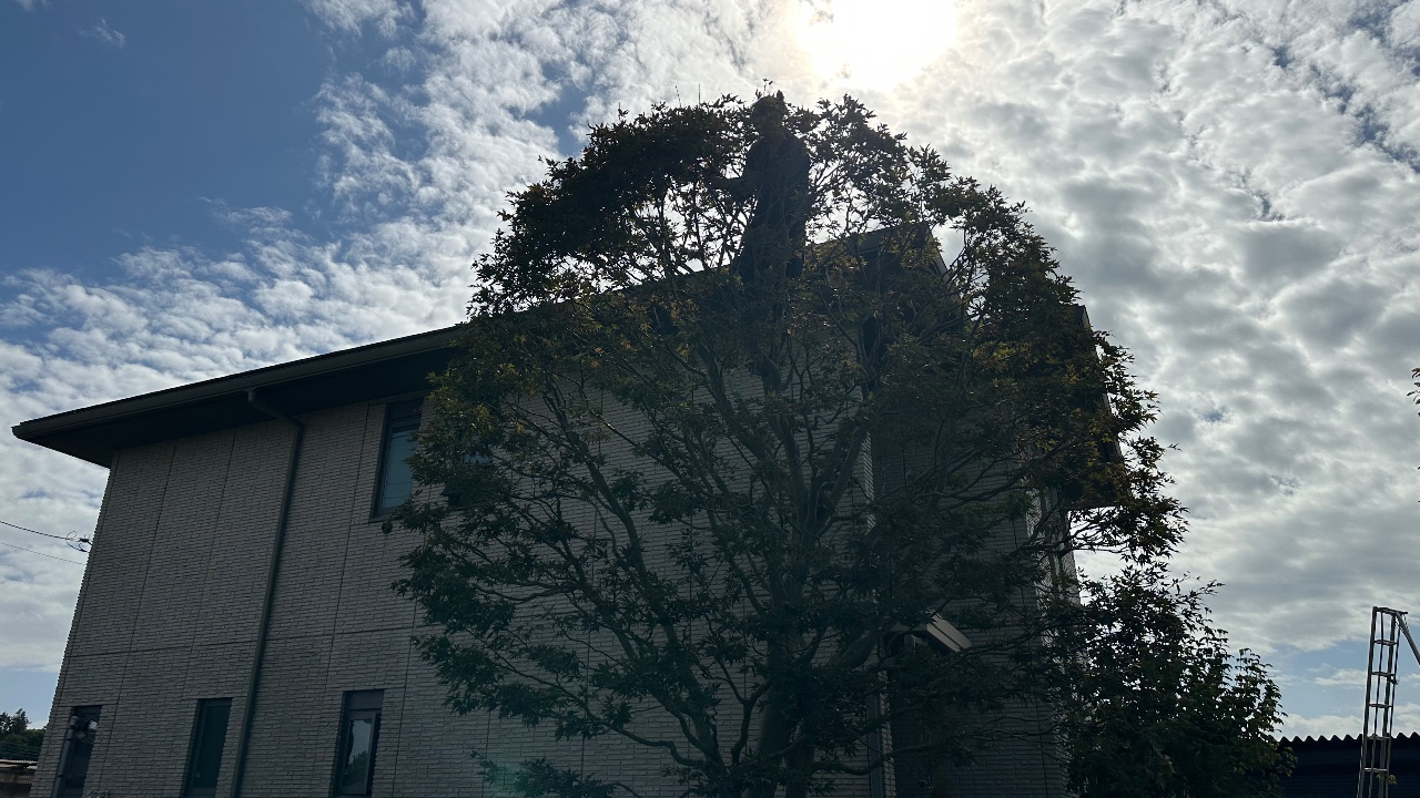 企業イメージ