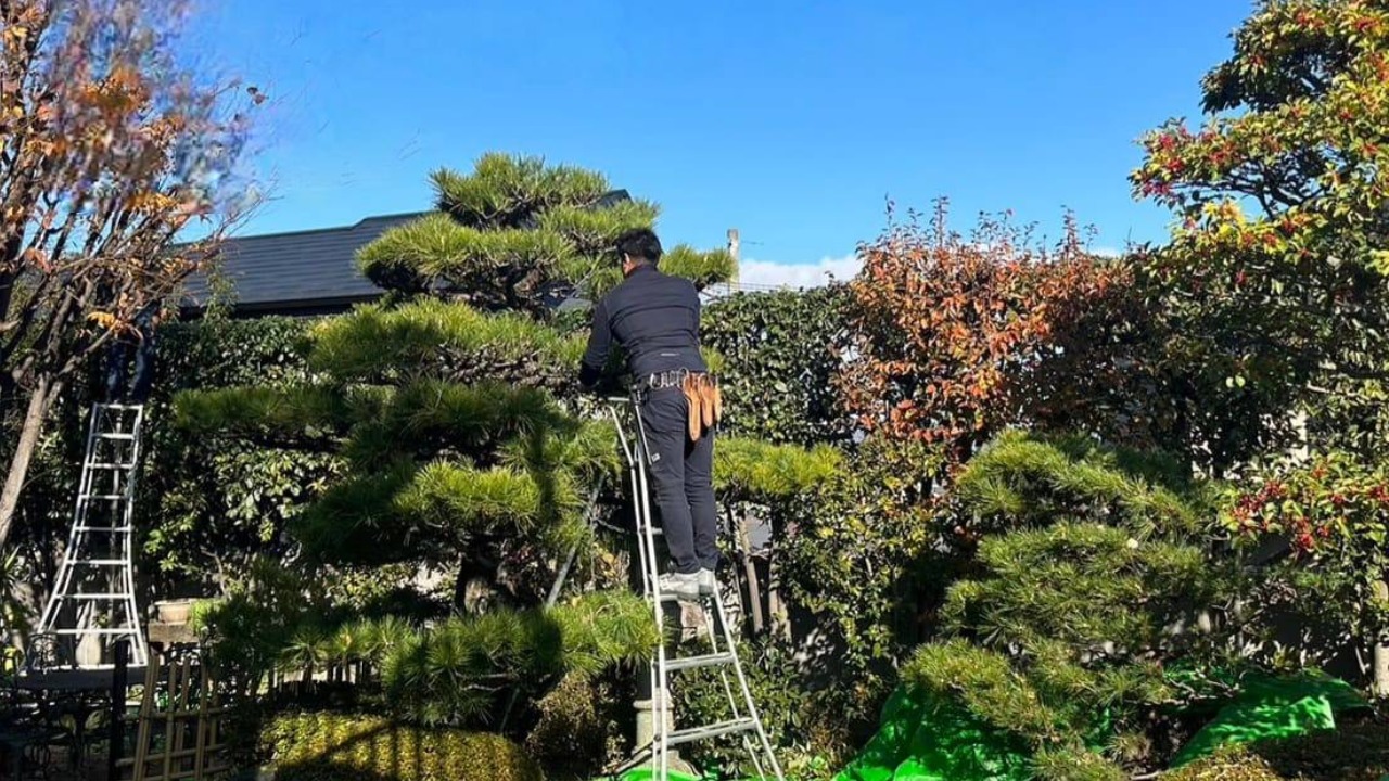 企業イメージ