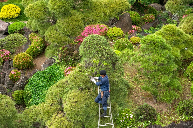 企業イメージ