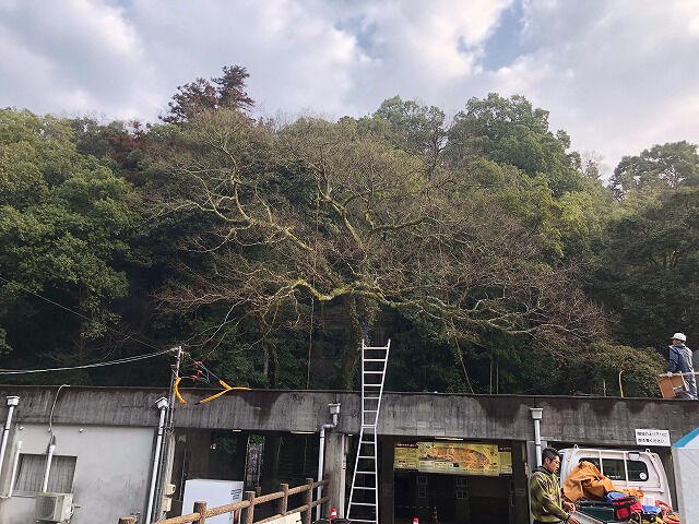 企業イメージ