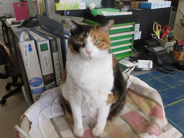 企業イメージ