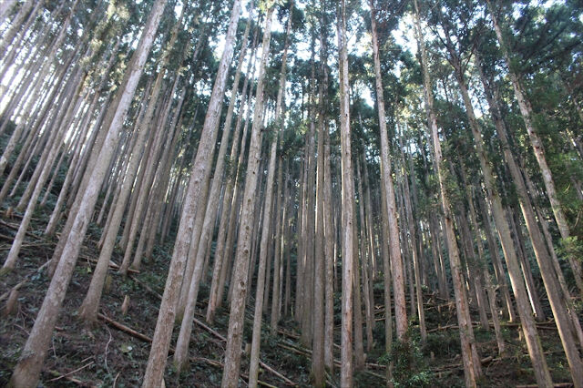 企業イメージ