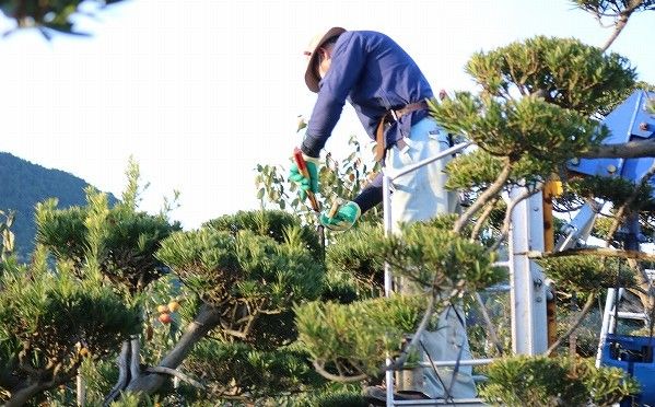 企業イメージ