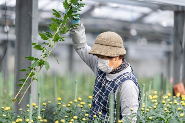 企業イメージ