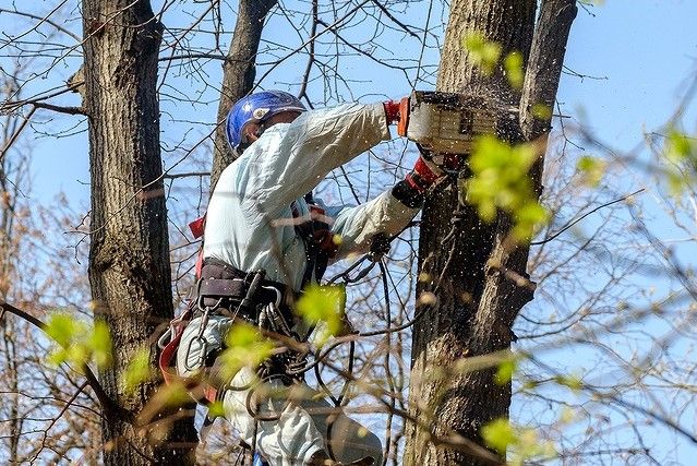 企業イメージ