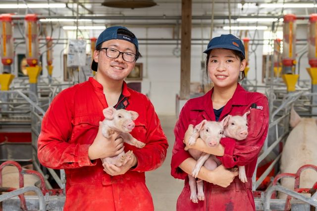企業イメージ