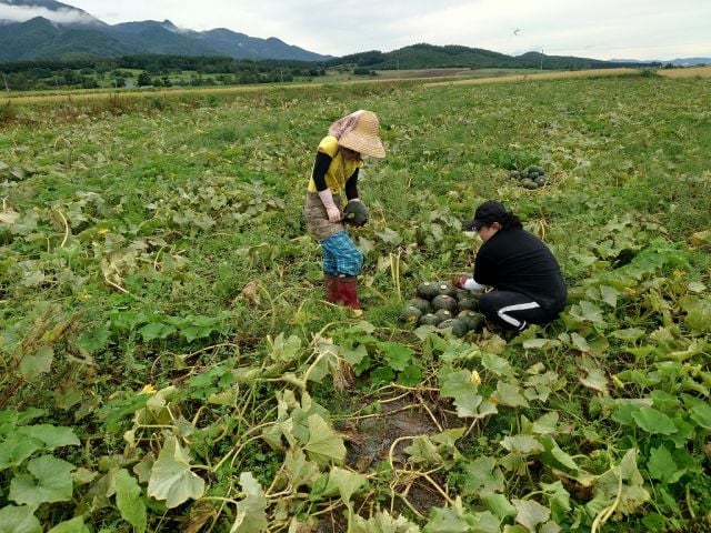 企業イメージ