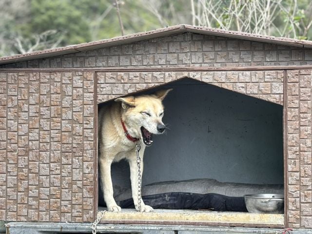 企業イメージ