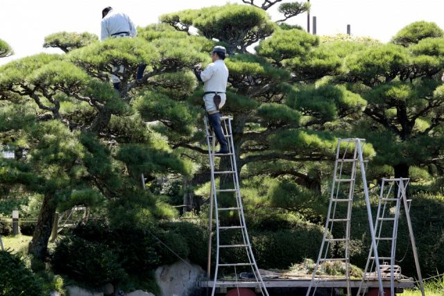 企業イメージ