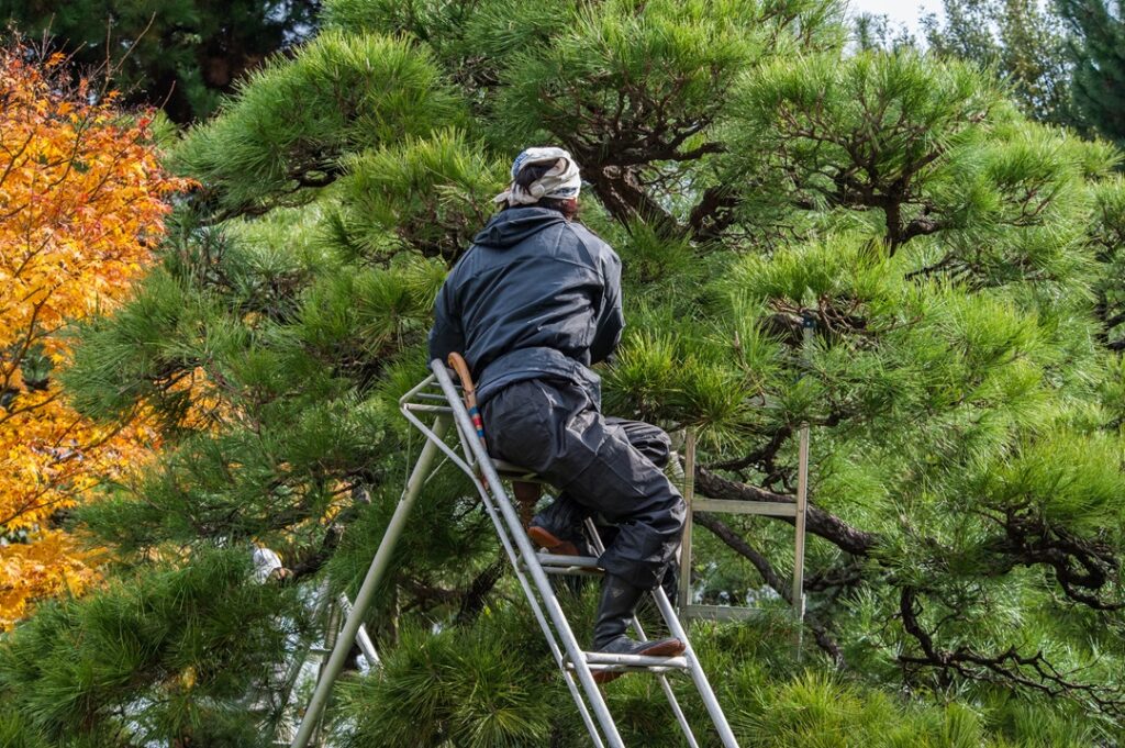 造園の求人掲載におすすめの求人サイトを紹介！?